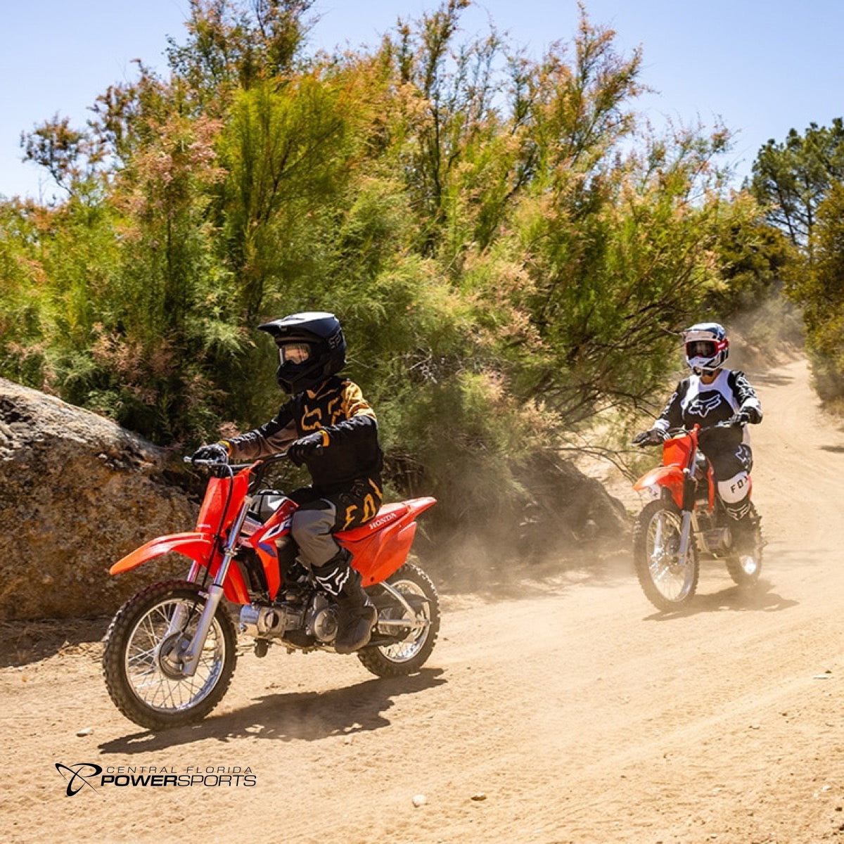 Crf110f shop