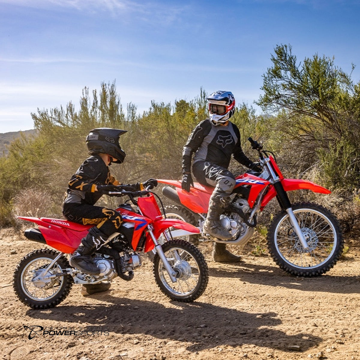 2024 Honda CRF110F Central Florida PowerSports