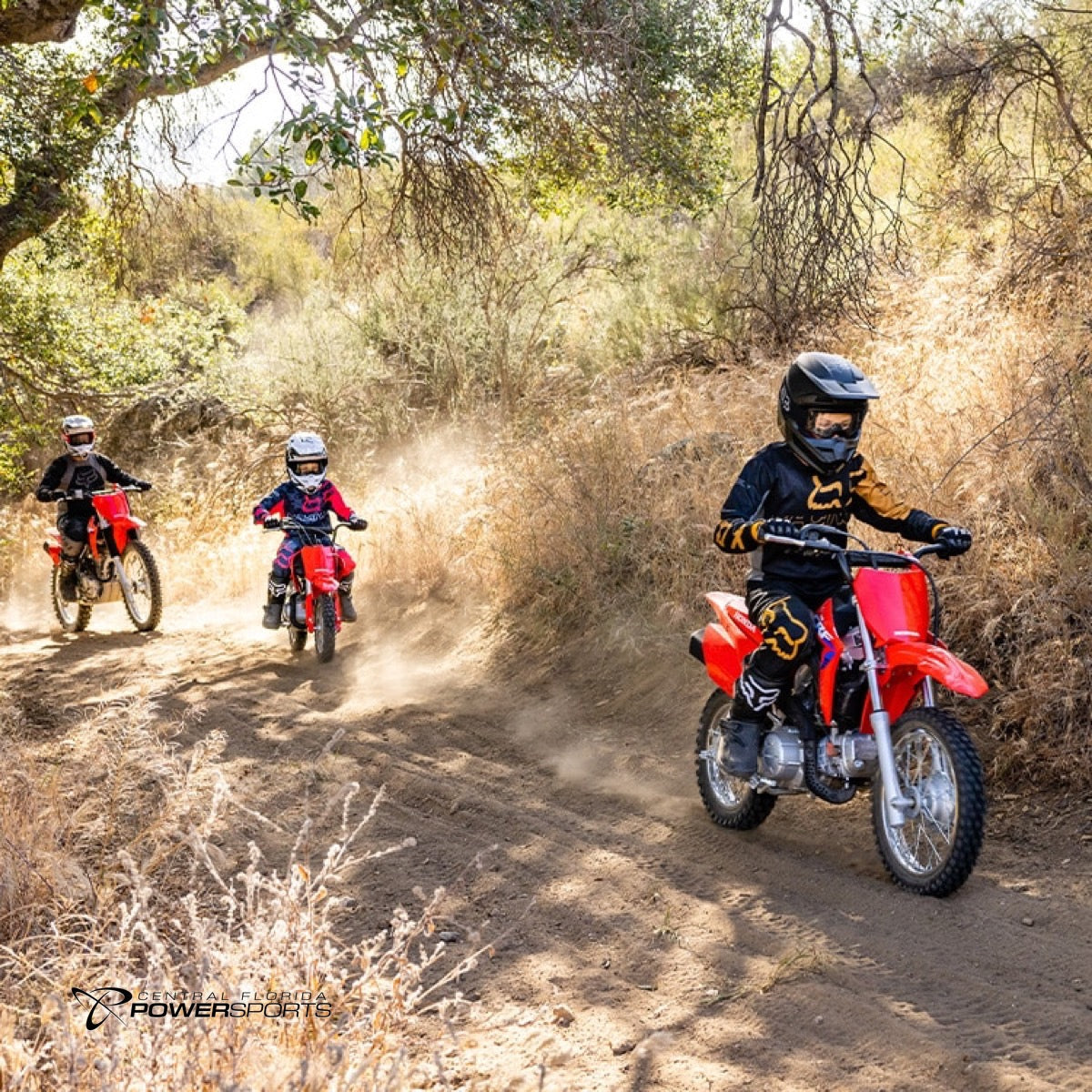 2024 Honda CRF110F Central Florida PowerSports