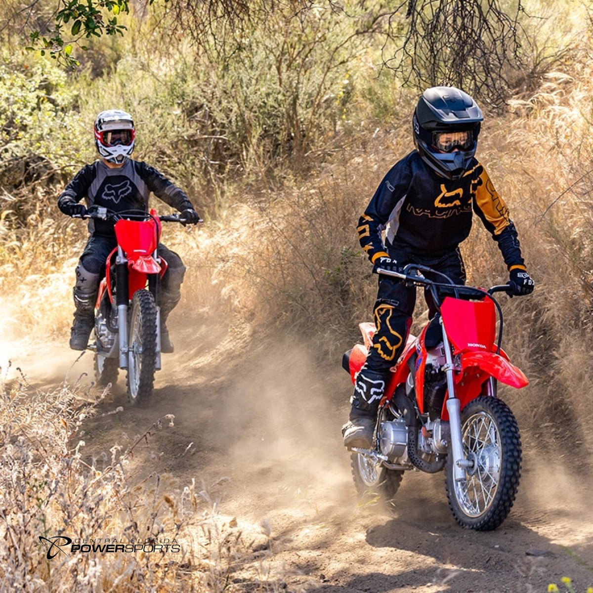 2024 Honda CRF110F Central Florida PowerSports