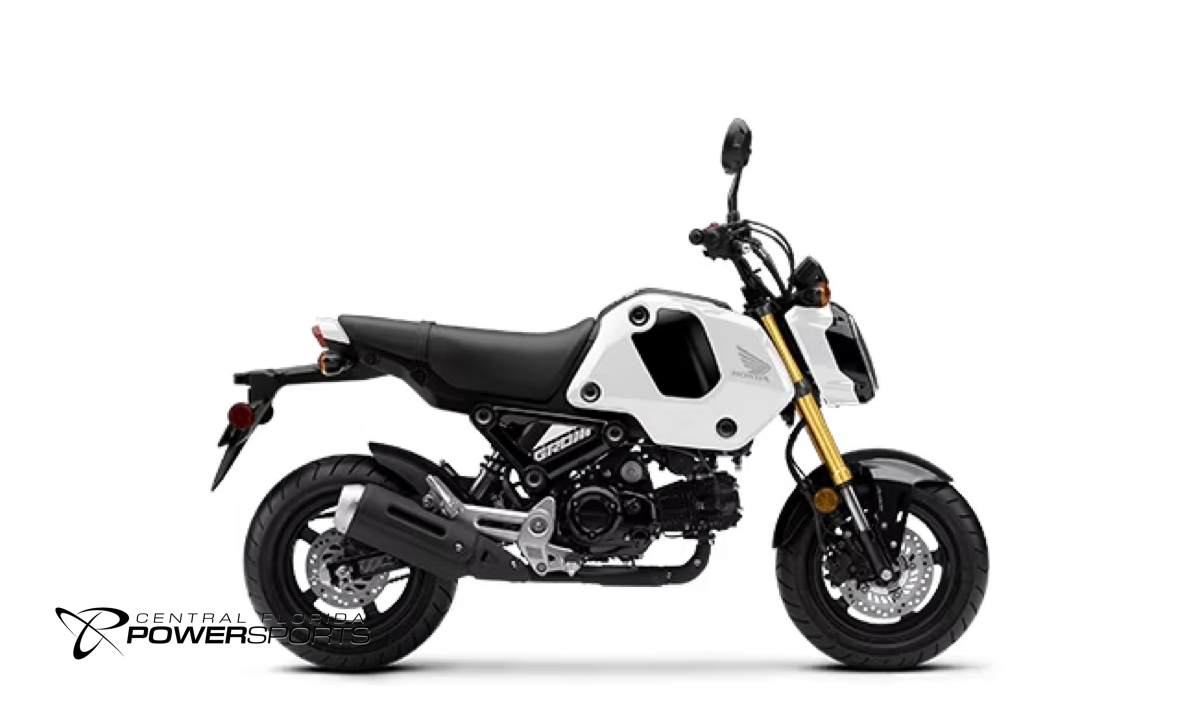 Honda grom used new arrivals