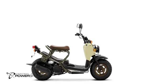 2024 Honda Ruckus