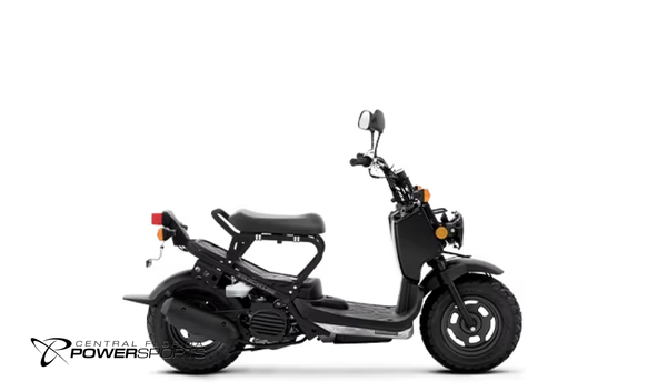 2024 Honda Ruckus