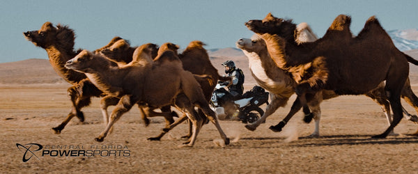 2024 Husqvarna Norden 901 Expedition