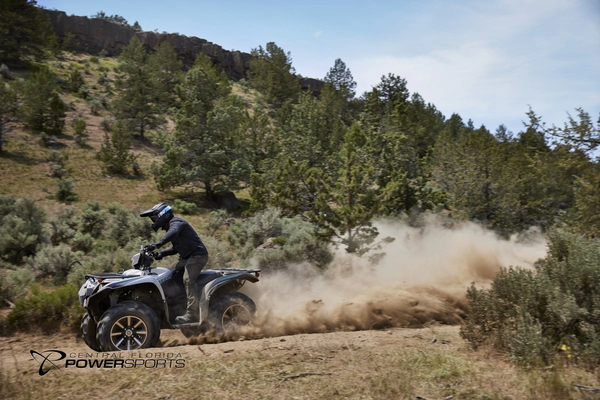 2024 Yamaha Grizzly EPS SE
