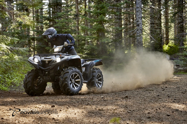2024 Yamaha Grizzly EPS SE