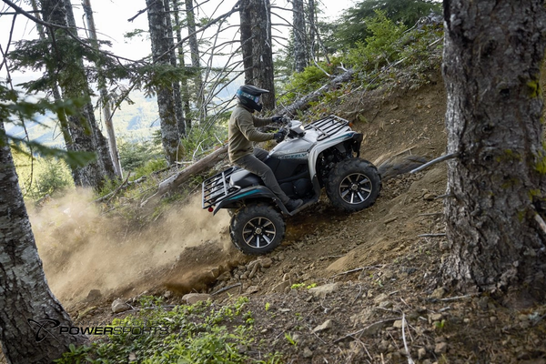 2024 Yamaha Grizzly EPS SE