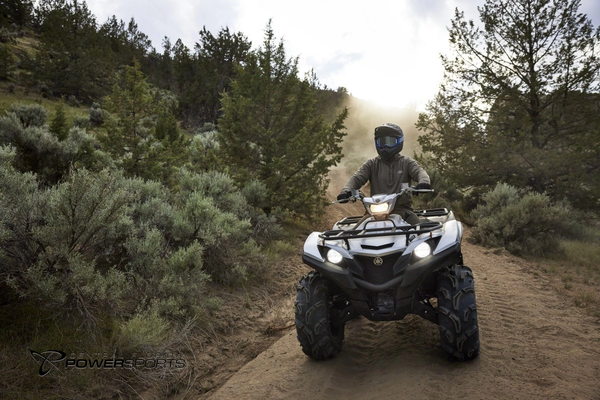 2024 Yamaha Grizzly EPS SE