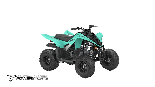 2024 Yamaha Raptor 110