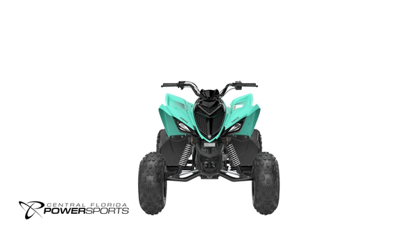 2024 Yamaha Raptor 110