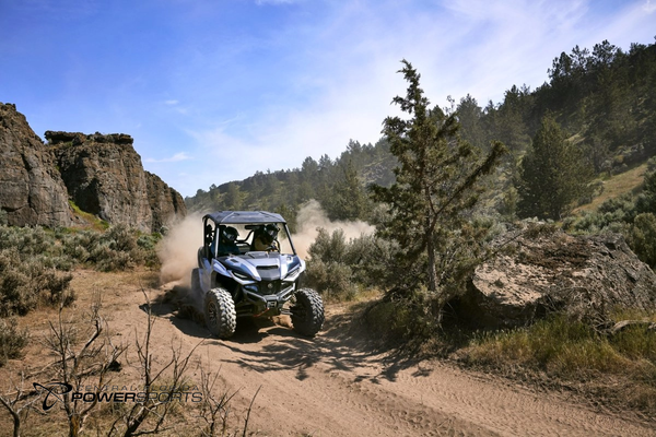 2024 Yamaha Wolverine RMAX2 1000 Limited Edition