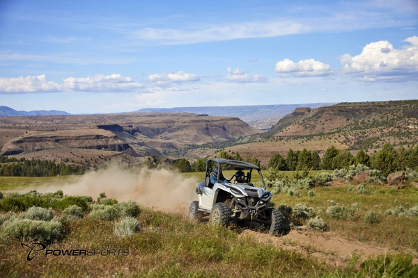 2024 Yamaha Wolverine RMAX2 1000 Limited Edition