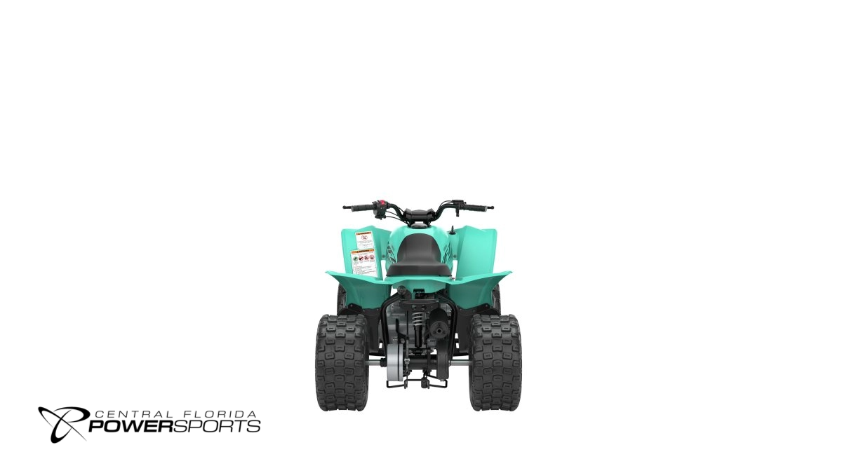 2024 Yamaha YFZ50 - Central Florida PowerSports