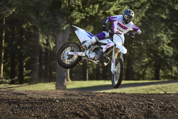 2024 Yamaha YZ250 50th Anniversary Edition