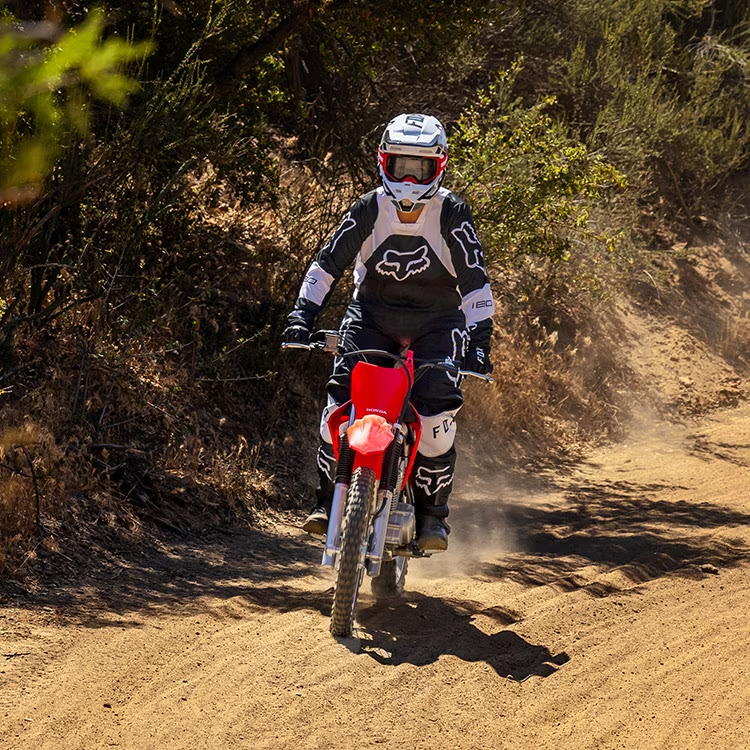 Honda big wheel dirt bike online