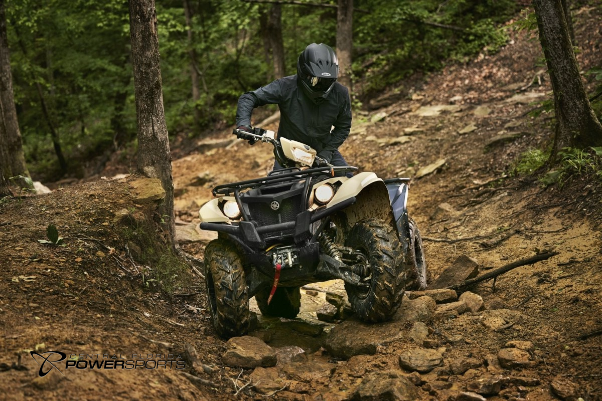 2024 Yamaha KODIAK 700 EPS SE - Central Florida PowerSports