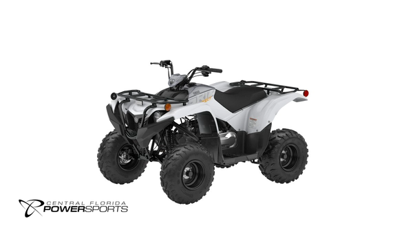 2024 Yamaha Grizzly 90