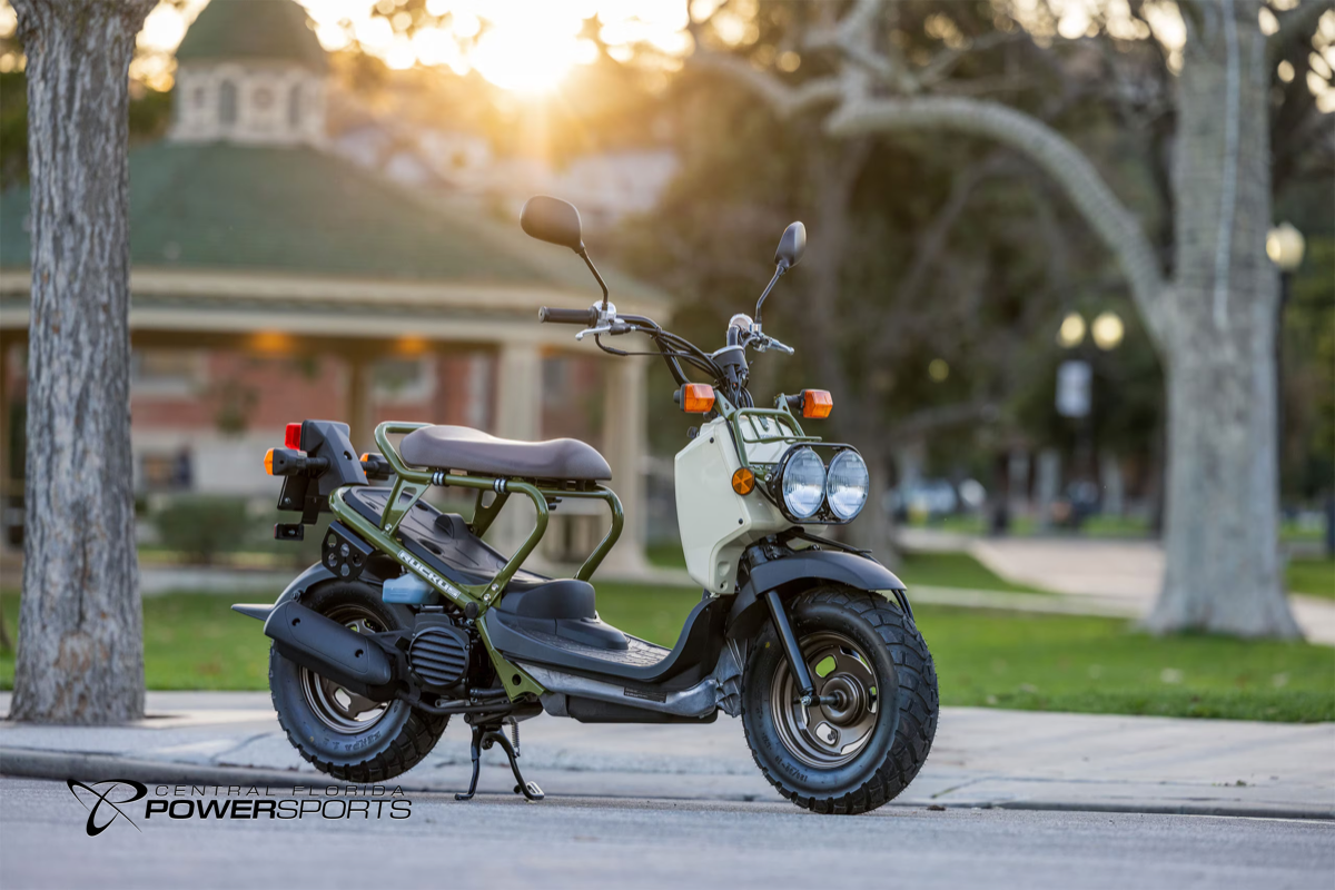 Honda moped dealer cheap