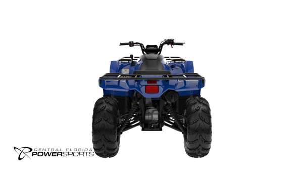 2025 Yamaha KODIAK 450