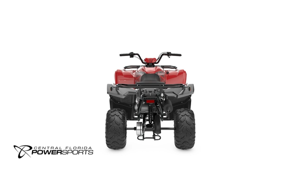2025 Yamaha Grizzly 110 Youth