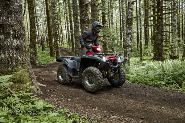 2025 Yamaha Grizzly EPS