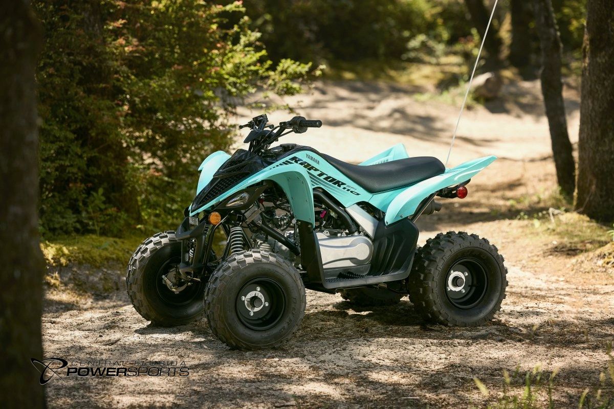 Yamaha raptor dealer on sale