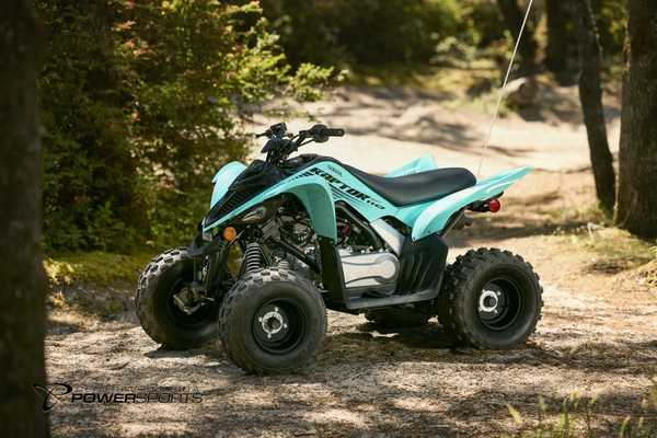 2025 Yamaha Raptor 110