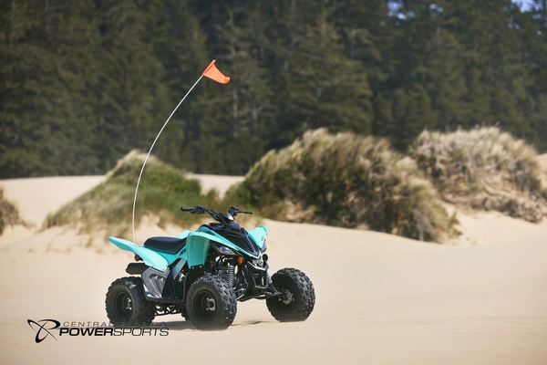 2025 Yamaha Raptor 110