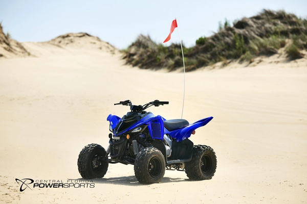 2025 Yamaha Raptor 110