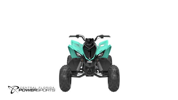 2025 Yamaha Raptor 110