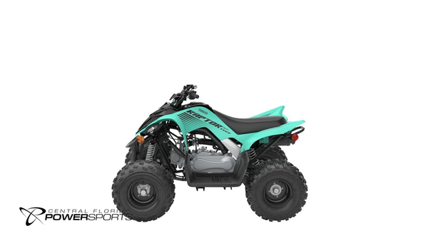 2025 Yamaha Raptor 110