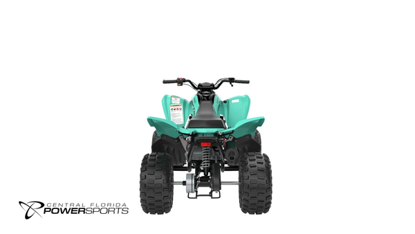 2025 Yamaha Raptor 110