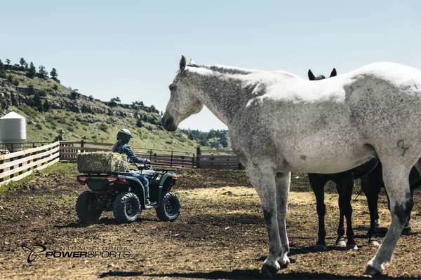 2026 CFMOTO CForce 400