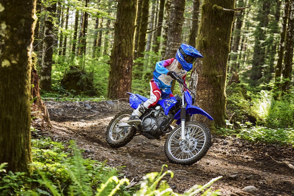 2026 Yamaha TT-R125LE