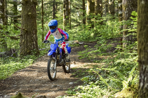 2026 Yamaha TT-R125LE