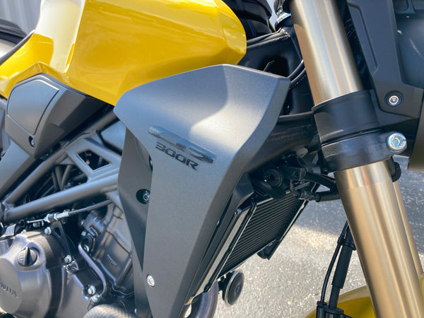 2025 Honda CB300R ABS