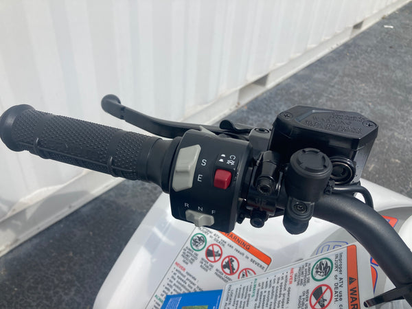 2024 CFMOTO CFORCE EV110