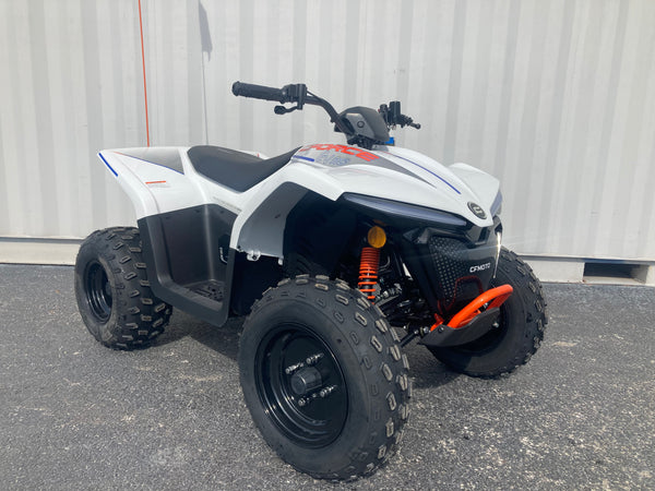 2024 CFMOTO CFORCE EV110