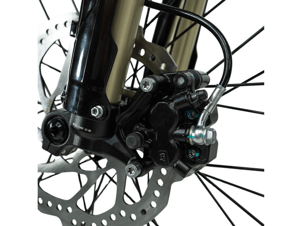 2026 Arctic Leopard XE PRO R - Central Florida PowerSports