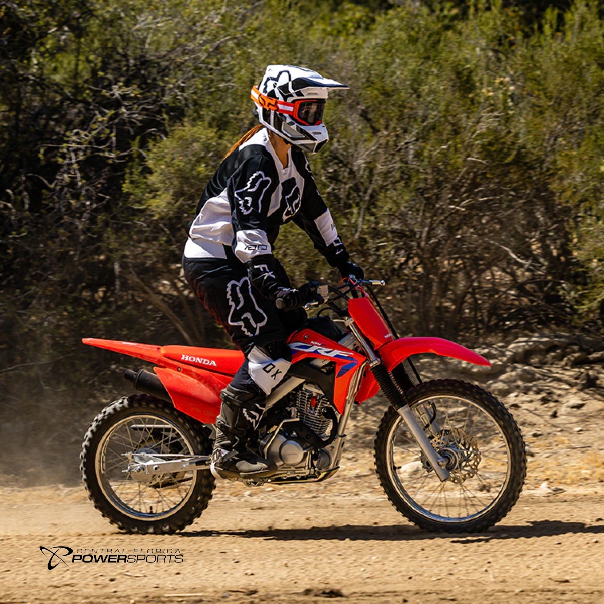 2023 Honda CRF125F Big Wheel Central Florida PowerSports