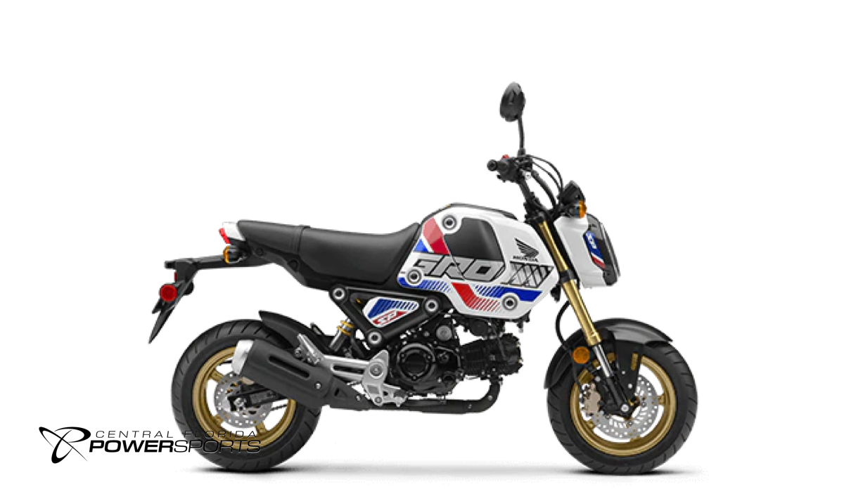 Buy used honda grom on sale