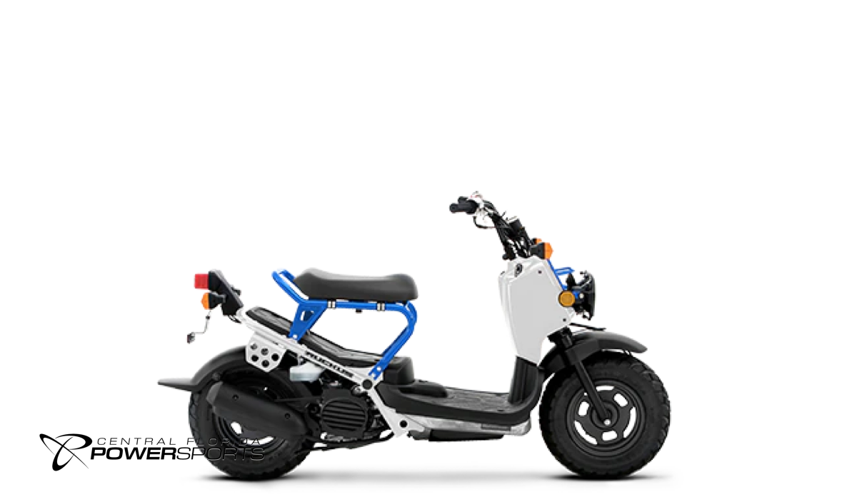 Honda clearance ruckus dealer