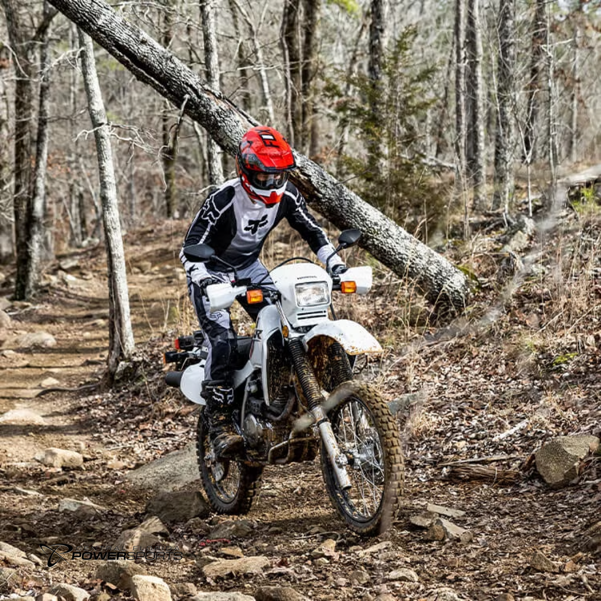 Honda Xr650l