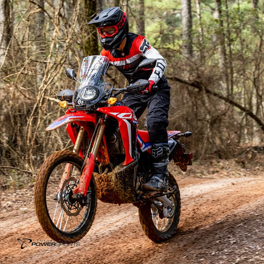 Honda crf300l discount rally abs