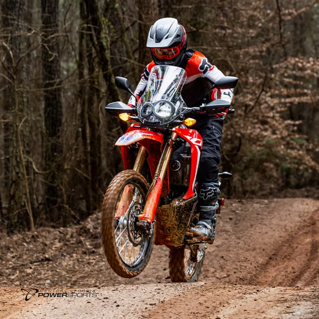 Crf300l shop rally abs